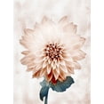 thumbnail image 2 of Prime, Marcus 25x32 White Modern Wood Framed Museum Art Print Titled - Desired Growth, 2 of 4