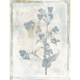 thumbnail image 3 of Grey, Jace 15x18 Black Modern Framed Museum Art Print Titled - Sky Floral, 3 of 5