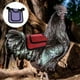 thumbnail image 3 of 4 piezas Gallo gallina silla espalda pluma protección fijador pollo chaleco, 3 of 5