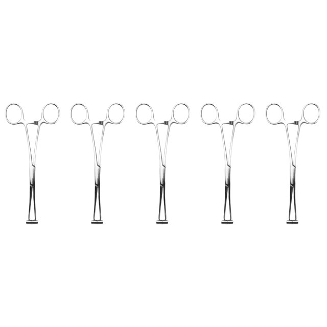 5X Pinza de Tabique Pinza de Aguja de Acero Inoxidable, Herramienta de Perforación Corporal, Herramienta de Perforación Profesional para Cejas Perforadas