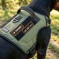 thumbnail image 6 of Mammoth Polyester Velcro Utility Dog Harness Patches, Multicolored, 11pk, 6 of 9