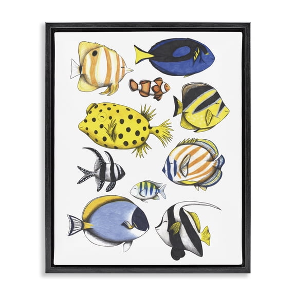 Stupell Industries Aquatic Fishes Collection Black Framed Floater Canvas Wall Art, design by Cecilia Battaini