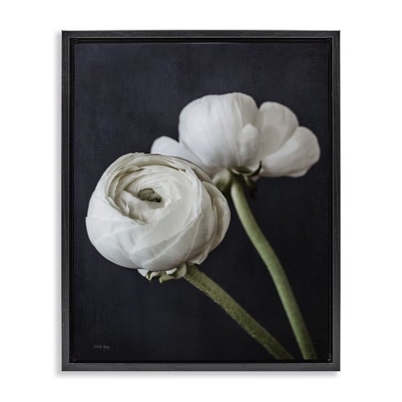 Stupell Industries Victorian Modern Ranunculus Flower Blossom Arrangement White Petals Black Floating Frame Canvas Art, 17 x 21, by Jennifer Rigsby