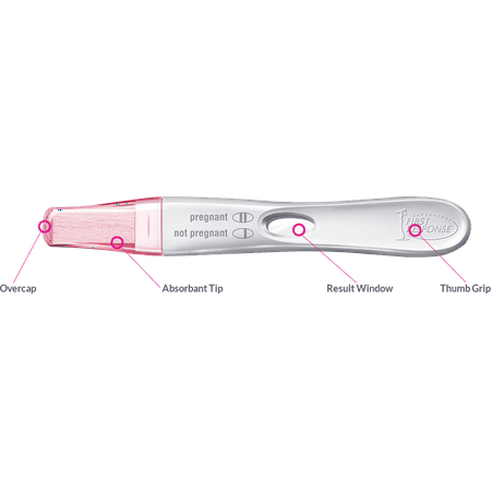 FIRST RESPONSE Rapid Result Result Pregnancy Test 2 Each(4pack)