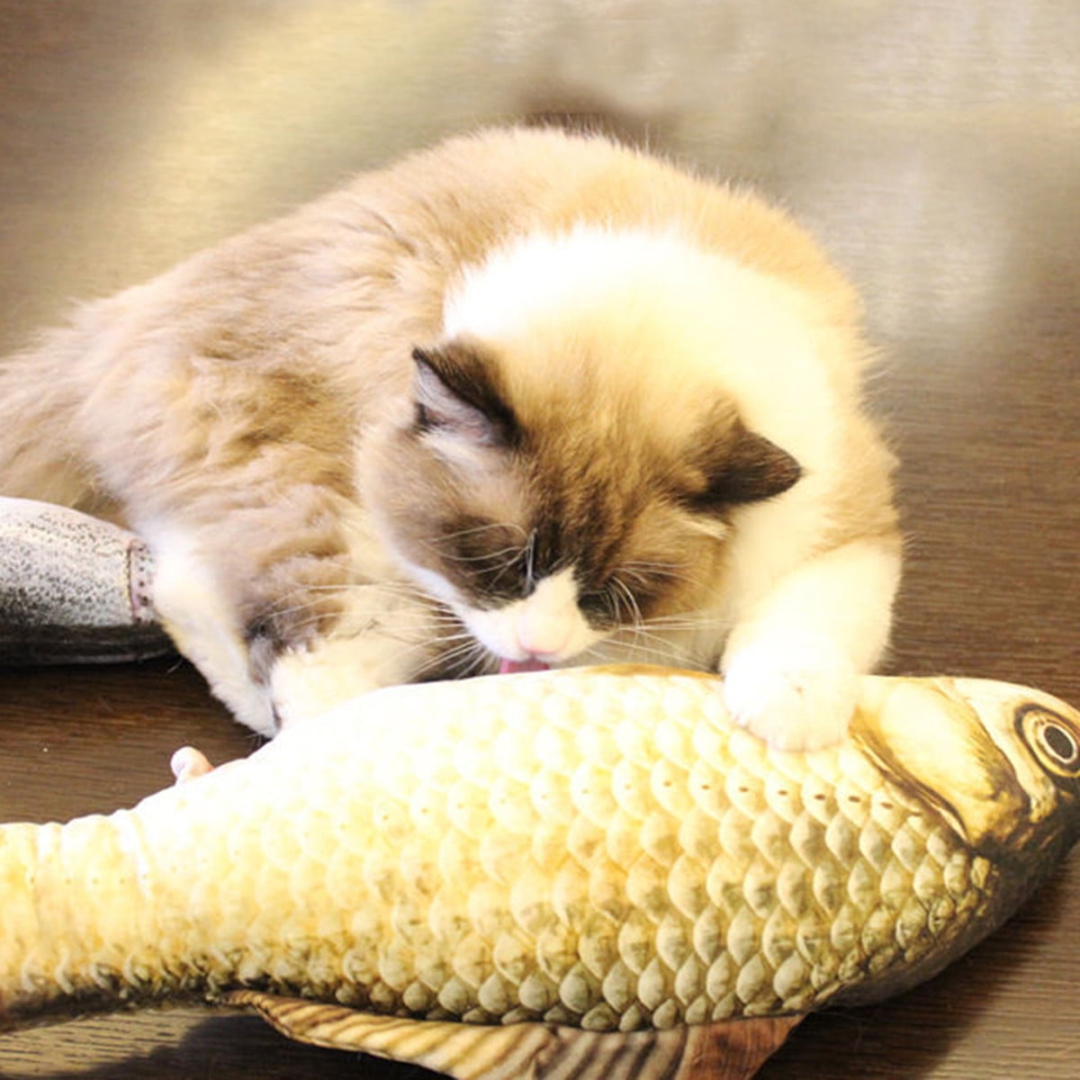 Download Realistic Fish cattoy Shaped Cat Kitten Kicker Scratching Chewing Toy Cotton Catnip Zipper Cat ...