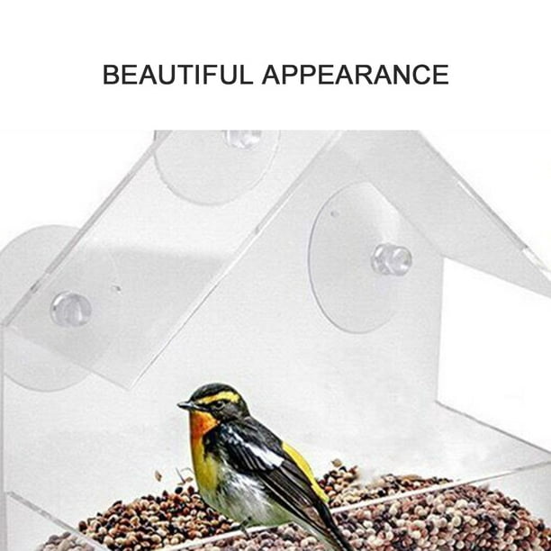 Mangeoire à oiseaux en acrylique transparent en forme de maison