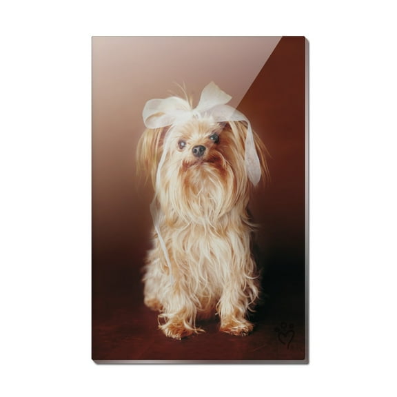 Yorkie Yorkshire Terrier Dog Bow In Hair Rectangle Acrylic Fridge Refrigerator Magnet