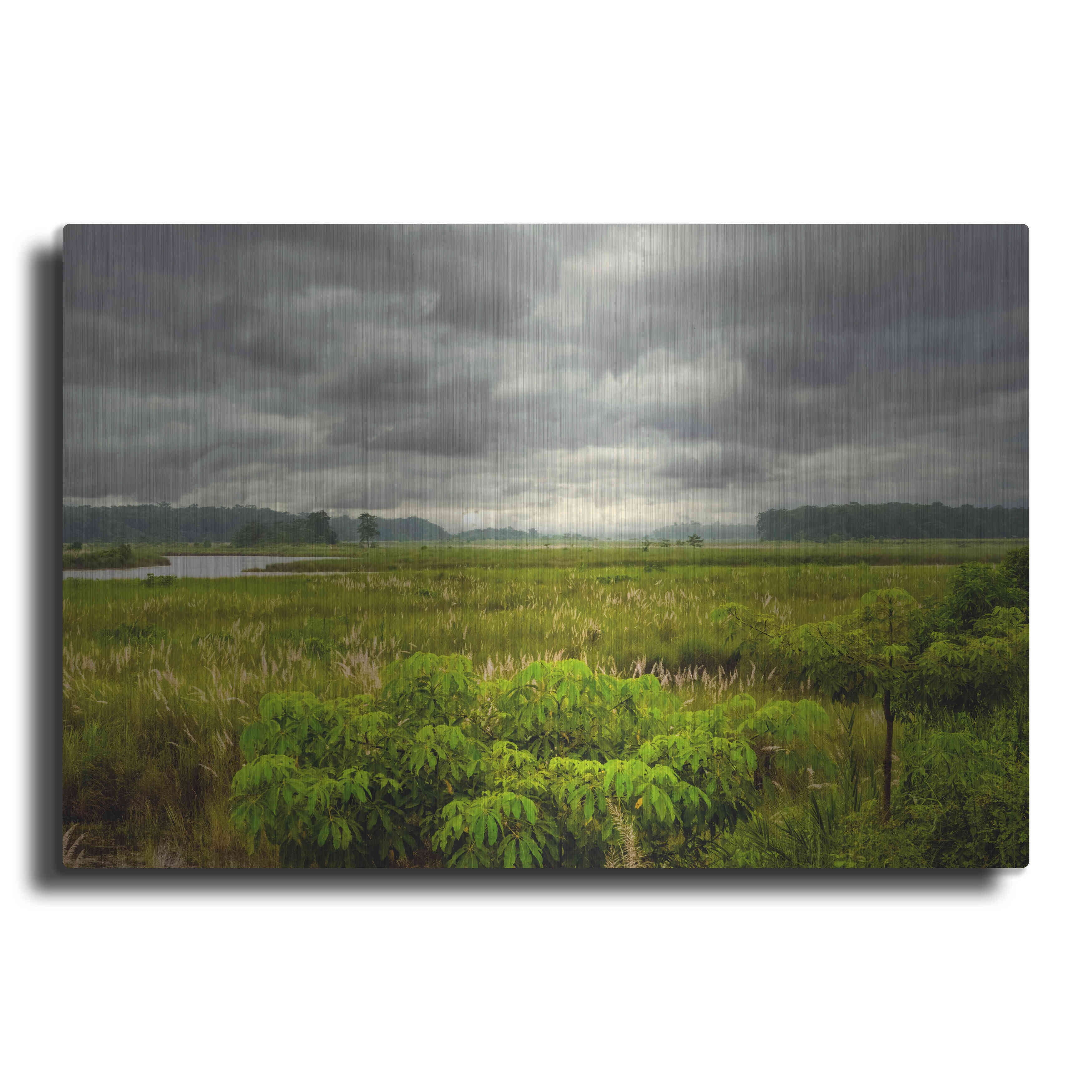 Luxe Metal Art 'Nepal Jungle' by Grace Fine Arts Photography, Metal