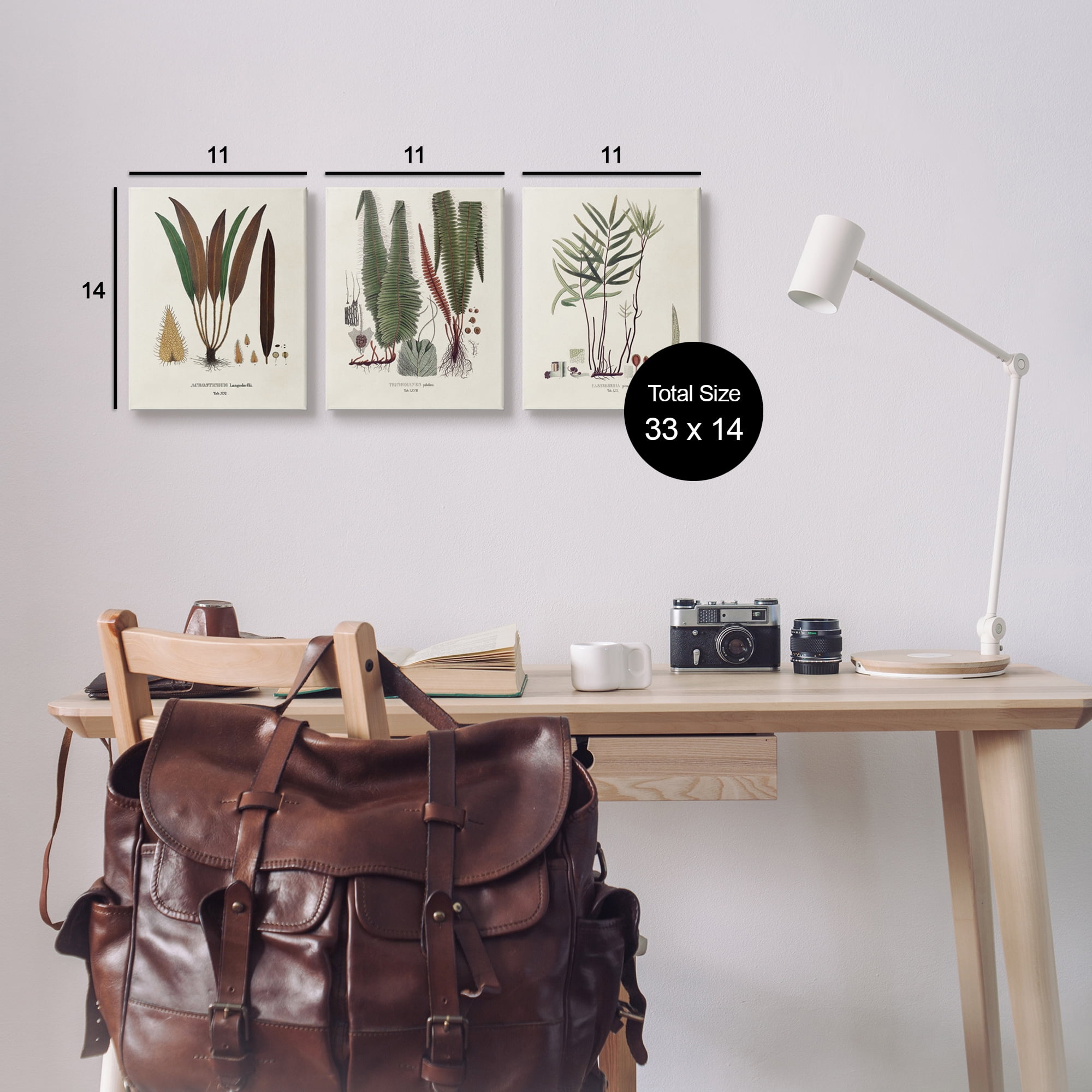 Stupell Industries Vintage Botanical Studies Botanical & Floral Painting Gallery Wrapped Canvas Art Print Wall Art, 11 x 14, Set of 3