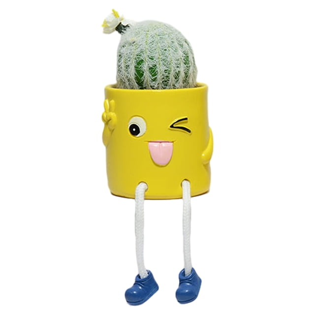 Toystoory Plantas verdes simuladas de resina, sin necesidad de riego, suculentas artificiales, plantas suculentas artificiales Decoración del hogar A