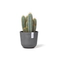 thumbnail image 4 of Ecopots Oslo Mini Durable Modern Round Indoor/Outdoor Recycled Based Composite Flower Pot Planter, Grey, 6", 4 of 4