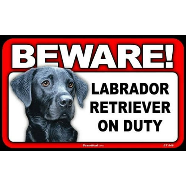 is labrador retriever a good guard dog