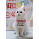 thumbnail image 3 of Bandana para mascotas CHAO Happy Birthday para perros y gatos Rosa, 3 of 5