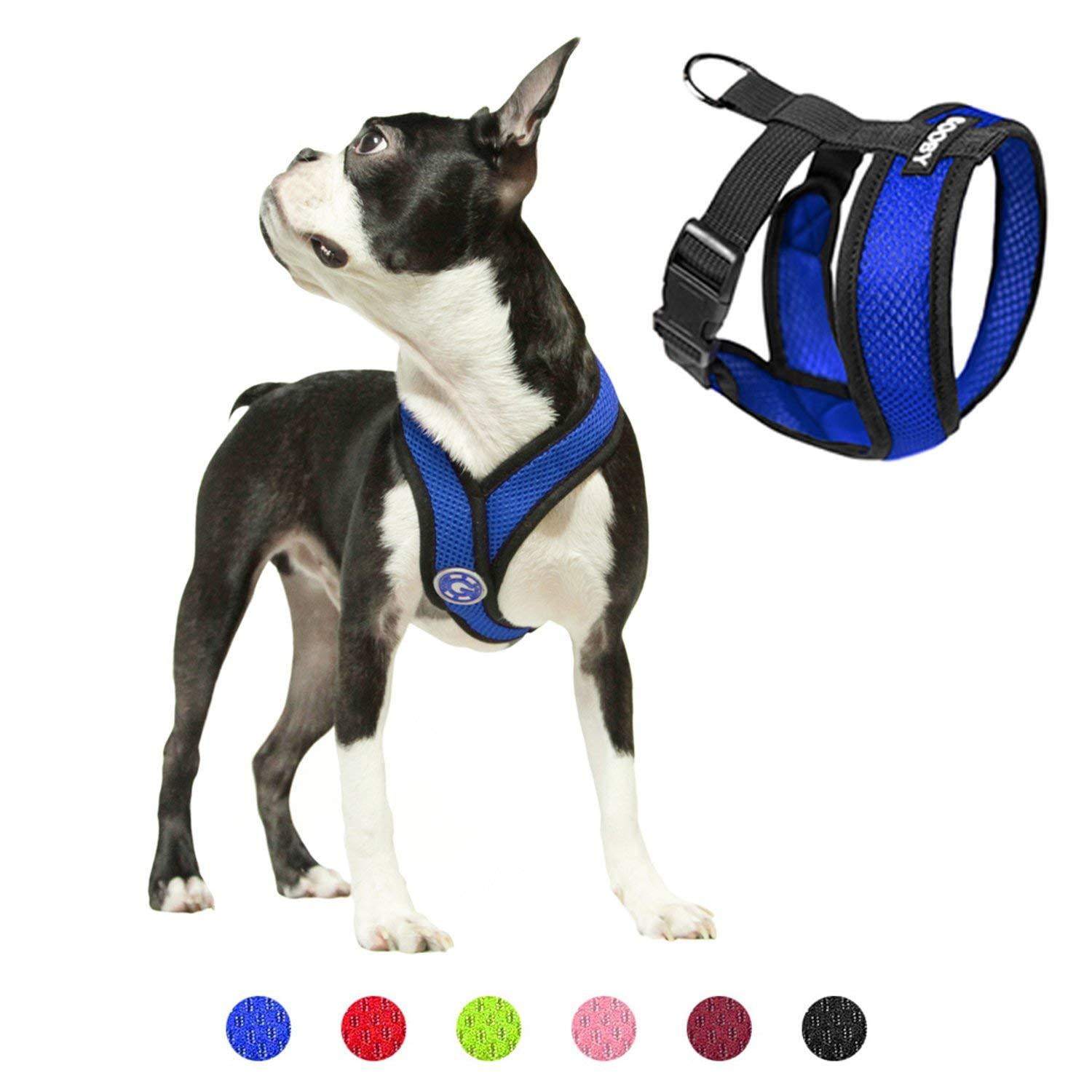 what is the best small dog harness