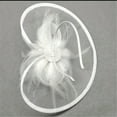 thumbnail image 7 of RUISINERY Elegant Feathered Tulle Cocktails Hat Fascinator For Women Elegant Party Headpiece With Netting Detail for Bride, 7 of 7
