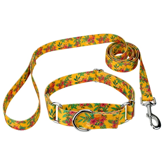 Country Brook Petz® Tropical Floral Martingale Dog Collar and Leash, 2XS