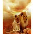 thumbnail image 2 of CafePress - Africa Lion And Lioness Throw Blanket - Soft Fleece Throw Blanket, 50"x60" for All Ages, 2 of 2