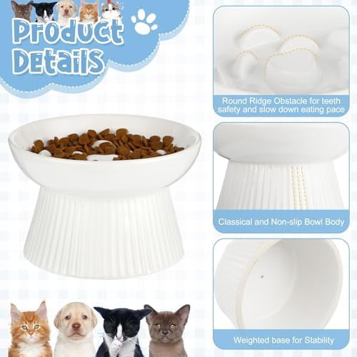 2 Pcs Raised Cat Slow Feeder Bowl Ceramic Elevated Cat Dog Food Bowl No Spill High Edge for Dry Wet Food and Water Easy to Clean, Dishwasher Safe (Dark Green,White)