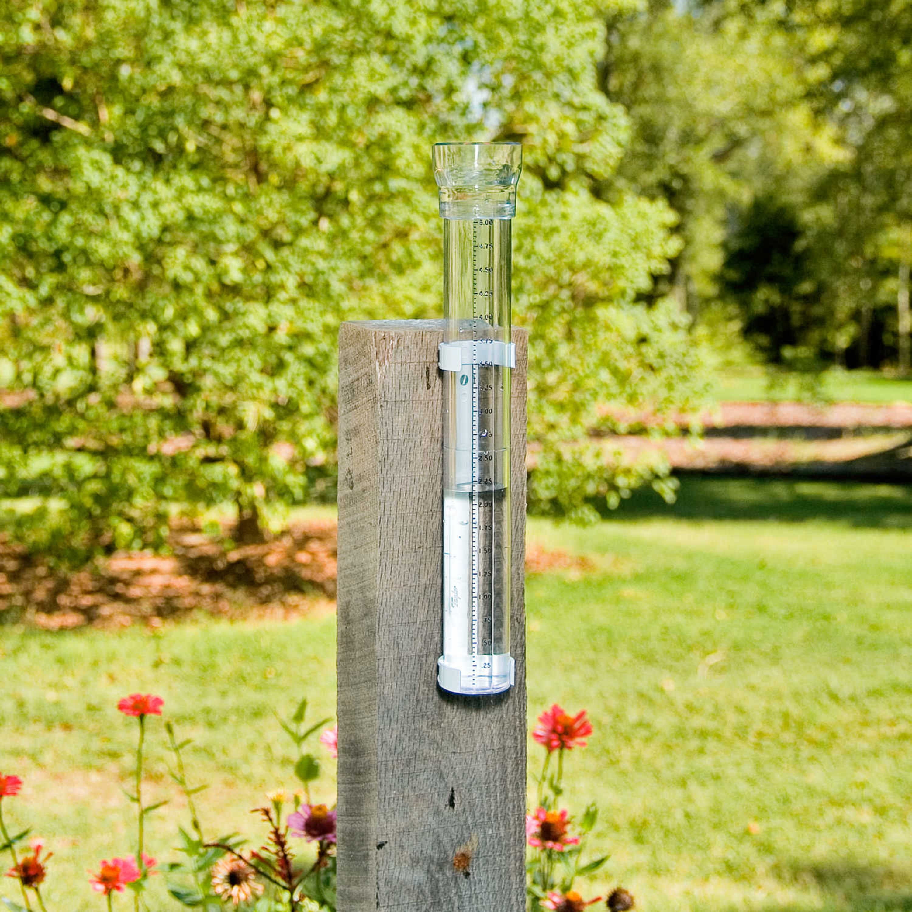 Taylor ClearVu 5" Capacity Rain Gauge