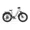 White, variant on SISIGAD Electric Bike, Peak 750W 28 Mph E-Mountain Bike for Adults, 48V/500WH Battery, 26" Off-Road Tires, UL2849, White Gray