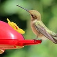 thumbnail image 5 of 16 Pieces Hummingbird Feeders Replacement Flowers Yellow Pet Replacement Bird Feeder Replacement Parts with 2 PCS Brush Feeding Ports Bee Guards for Hummingbird Feeders for Outdoors Hanging Feeder, 5 of 7