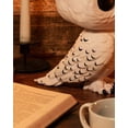thumbnail image 2 of Funko POP! Films : Harry Potter – 10 Pouces Hedwig, 2 of 4