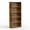 5 Tier Rust, variant on MCQ 5 Shelf Bookcase, 53 Inch Tall Floor Standing Open Bookshelf for Home Office and Living Room, Black