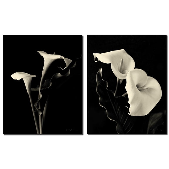 Botanical Elegance Calla; Stunning Black and White Calla's; Floral Decor; Two 11X14 Poster Prints