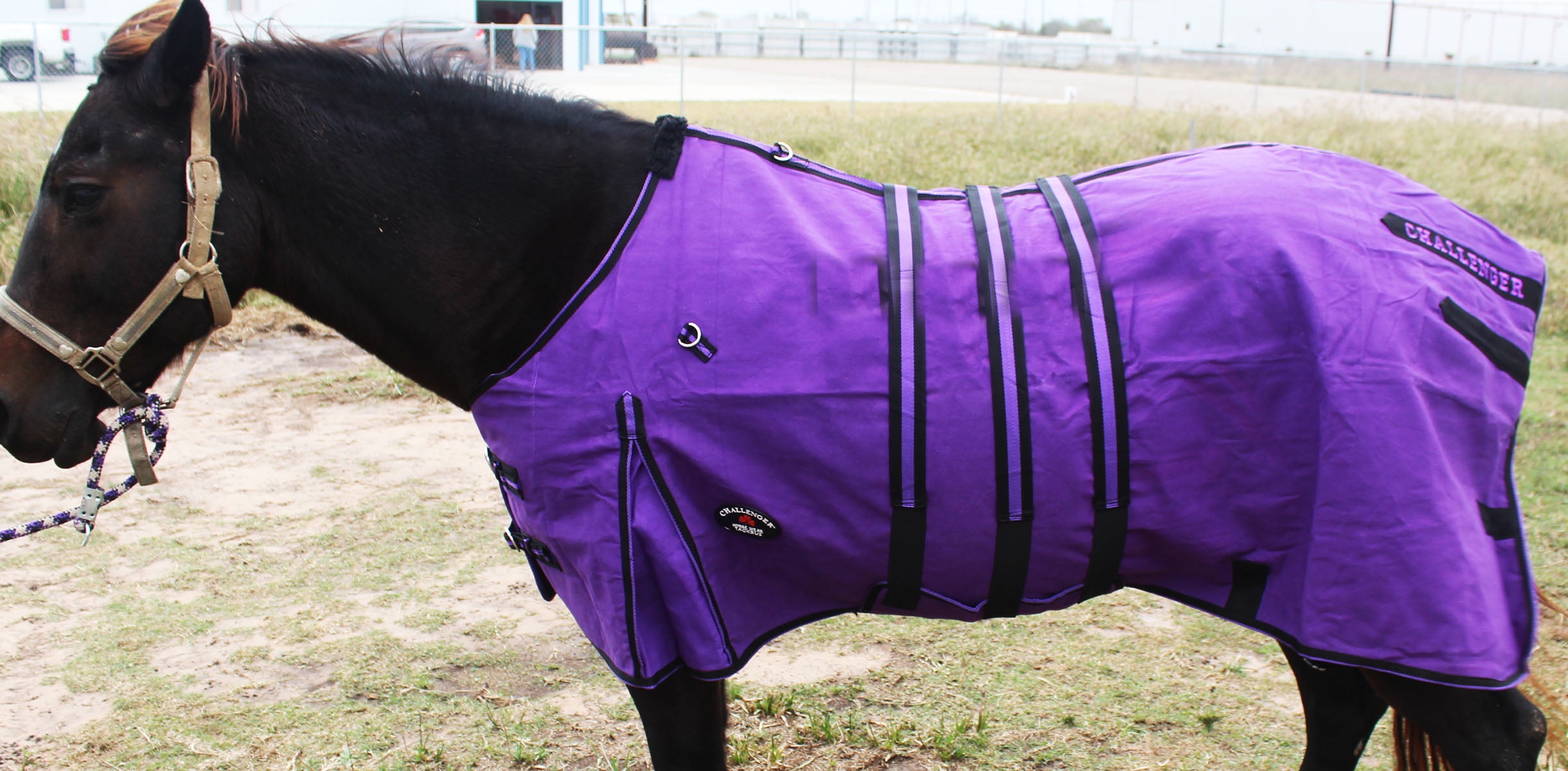 78" Canvas Duck Turnout Water Resistant Horse Winter Blanket BellyBand