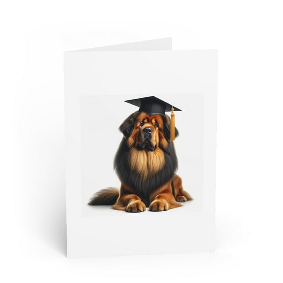 DistinctInk Greeting Card / Note Card - Tibetan Mastiff Graduation - PACK of 3