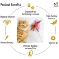 thumbnail image 4 of Cat Teasing Wand Silicone Collar Hands Free Toy with Bell and Feathers (Pink), 4 of 9
