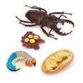 thumbnail image 1 of Bewildely 1 Juego de modelo de gusano de pala, Material plástico Premium, figuritas de insectos significativas, modelos de crecimiento educativo temprano Juguetes Educativos Iongicornio NO1 Bewildely FN010083-00, 1 of 6