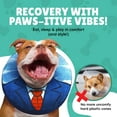 Medium Dog Donut Collar Inflatable Dog Cone Alternative For After