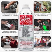 Sea Foam SF-16 Motor Treatment Fuel Additive Automotive Additive Can, 16 Ounce (3 Pack)