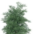 thumbnail image 3 of Koiauber Artificial Norfolk Pine Branch Faux Greenery Plants Stem Fake Pine Needle Pick Xmas Holiday Wedding Party Decoration, 3 of 8