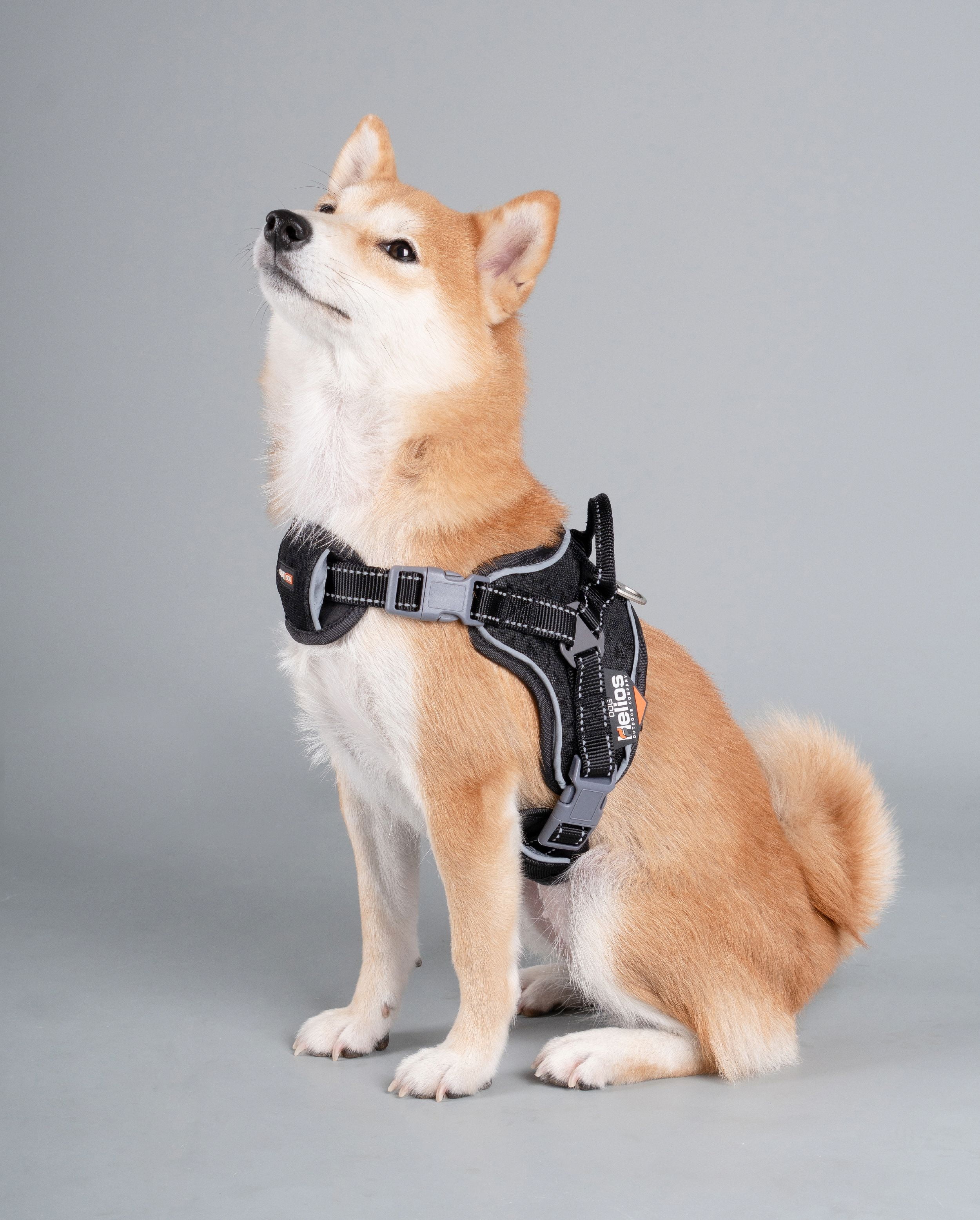 Dog Helios Stainless Steel, Nylon, Polyester, Fleece & Mesh Scorpion Walking Dog & Cat Harness, Black, M (20.5" to 23.6" Chest Size)
