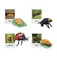 thumbnail image 5 of Figuritas de , juguete, biología, ciencia, etapa de crecimiento educativo, modelo, figuritas de animales, juguetes para decoración de escritorio, pequeños, Hugo  Juego de crecimiento, 5 of 9