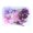 Purple, variant on Lubelski 1 Box Preserved Flower Beautiful Bright-colored Dried Flower Stylish Visual Effect Dried Flower Display for Home