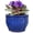 blue, variant on Dphagesy 6 inch Blue Self Watering African Violet Pot with Water Reservoir, Porous Ceramic Inner Pot, Bottom Watering Indoor Planter, Keeps Leaves Dry(Plants Are not Included)