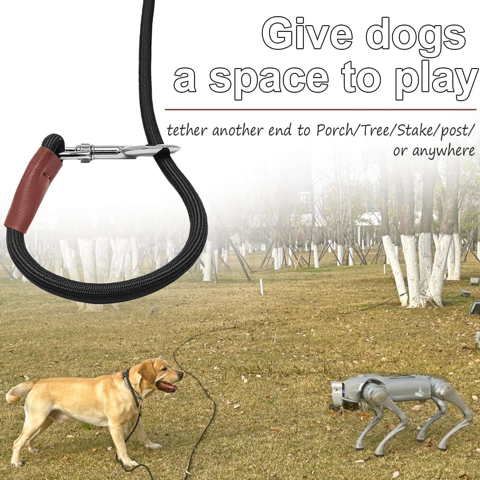 35FT Heavy Duty Nylon Dog Leash Tie Out Rope Long Tether for Medium Large Dogs Outdoor Camping Backyard Play