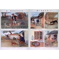 thumbnail image 2 of Public Health Education In Red China. Two Posters Contrast Bad Hygiene History (36 x 24), 2 of 2