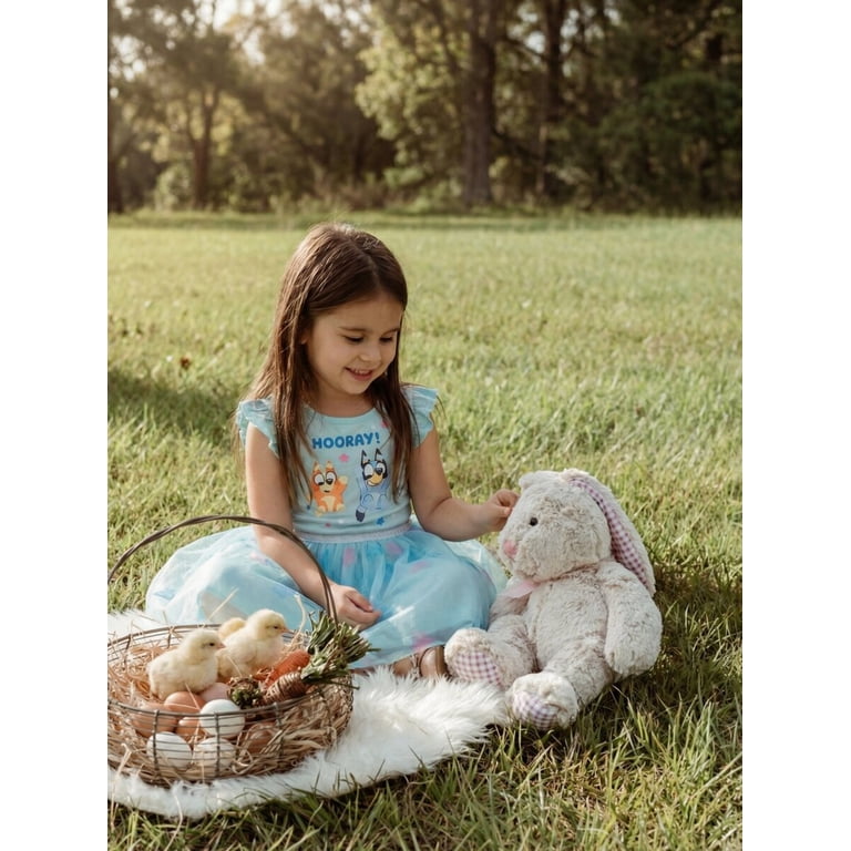 bluey princess dress Princess Bluey Dress