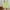 Mint Green, variant on Abomasnow Deals of The Day Clearance Linen Shorts for Women Summer Drawstring High Waisted Long Shorts Lightweight Cotton Workout Shorts with Pockets
