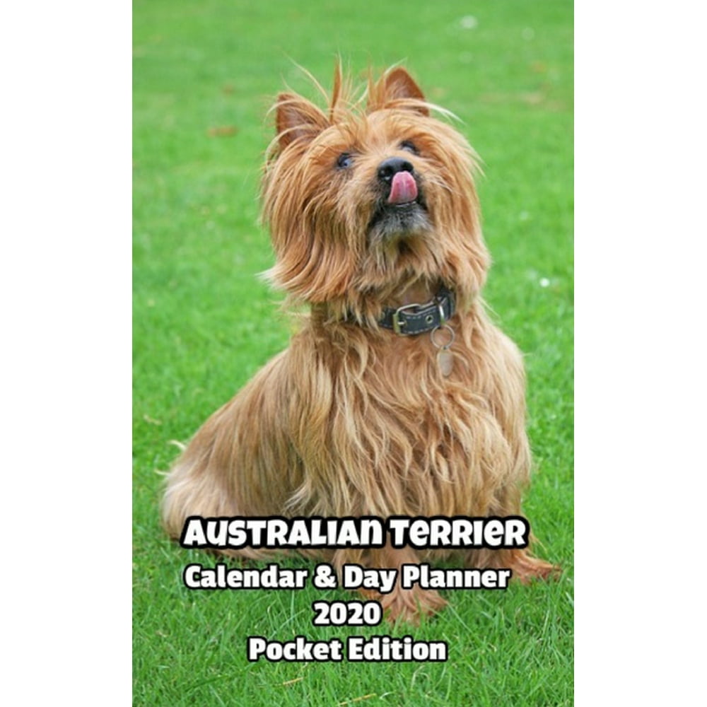 Australian Terrier Calendar 2025