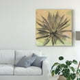 thumbnail image 3 of Trademark Fine Art 'Desert Dreams I' Canvas Art by Naomi McCavitt, 3 of 4