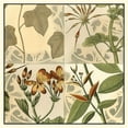 thumbnail image 2 of Vision Studio 20x20 White Modern Wood Framed Museum Art Print Titled - Botanical Quadrant III, 2 of 4