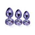 thumbnail image 4 of Nixie Metal Butt Plug Trainer Set W/inlaid Jewel - Purple Metallic, 4 of 5