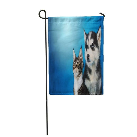 NUDECOR Cat and Dog Maine Coon Siberian Husky Looks at Garden Flag Decorative Flag House Banner 12x18 inch