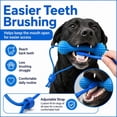 thumbnail image 3 of Dual-Action Canine Dental Prop, Dog Dental Chew Toy for Easier Teeth Brushing, Pet Oral Care for Small, Medium and Large Dogs (1PCS), 3 of 7