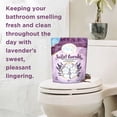 thumbnail image 4 of Lil Loos Essential Oil Toilet Bowl Bombs, 4 of 7